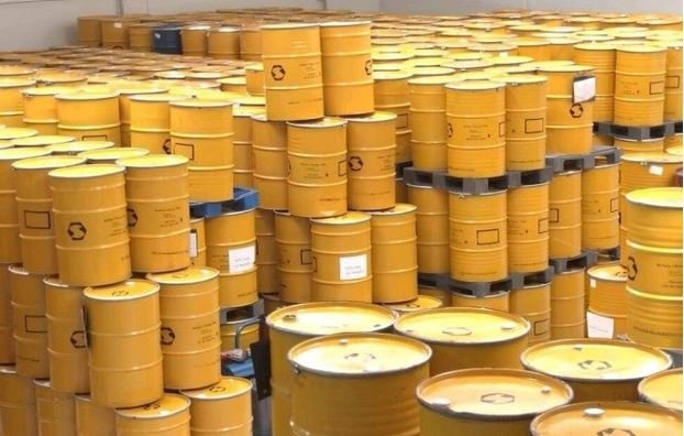 Tarifaço de Trump: 95 toneladas de mel são embarcadas rumo aos EUA, após 3 dias de tensão