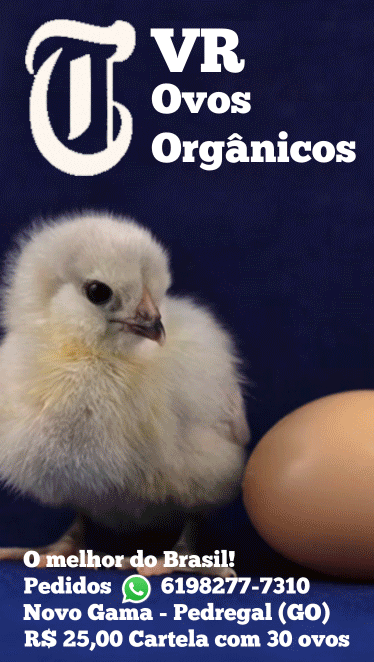 VR Ovos Orgânicos - CSM