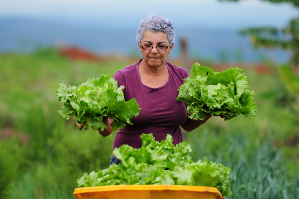 DF recebe a 3ª Conferência de Desenvolvimento Rural Sustentável e Solidário