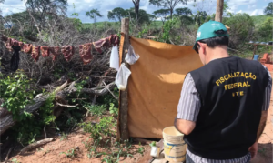 Para cada pessoa resgatada do trabalho escravo no Brasil, 360 permanecem