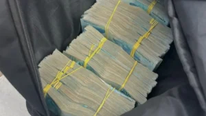 Home 6 fraude em licitações