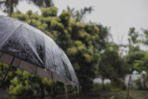 Chuva ganha força em São Paulo e há risco de temporais neste domingo, 23
