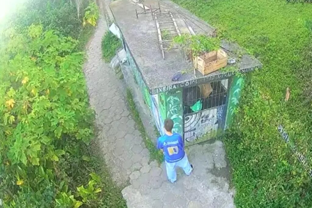 Florianópolis: assassino de professora se escondeu no mato para ataque