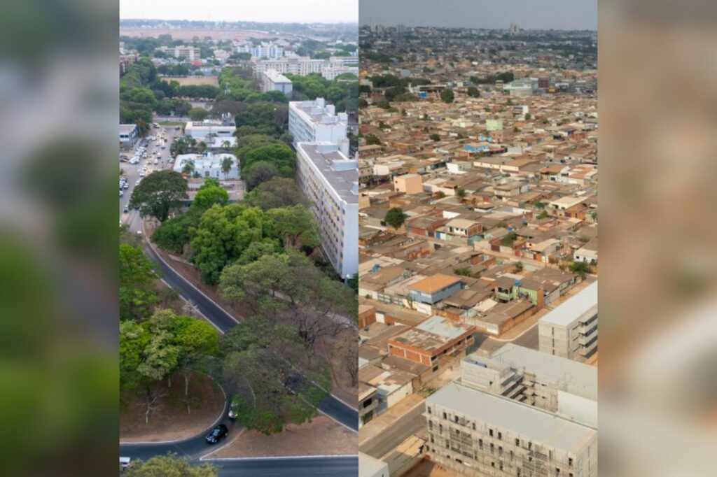 PDOT prevê arborização em regiões com déficit de cobertura vegetal