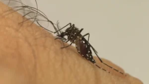 Goiânia tem 27 mil casos confirmados de dengue em 2025