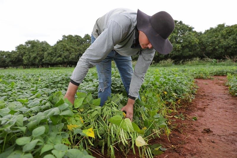 Seagri-DF celebra avanços e fortalece campo em 2025