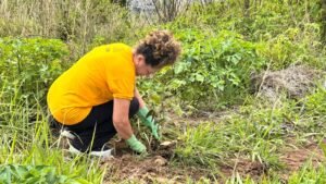 Ceilândia celebra Dia de Mudas com o plantio de 500 árvores nativas do Cerrado