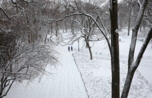 Nova York declara estado de emergência em meio a nevasca