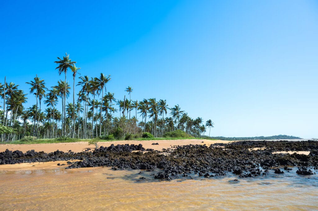 Espírito Santo: onde a experiência vai além do destino