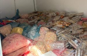 Mais de uma tonelada de alimentos clandestinos é apreendida em ação