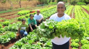 CMN amplia socorro a produtores afetados pelo clima