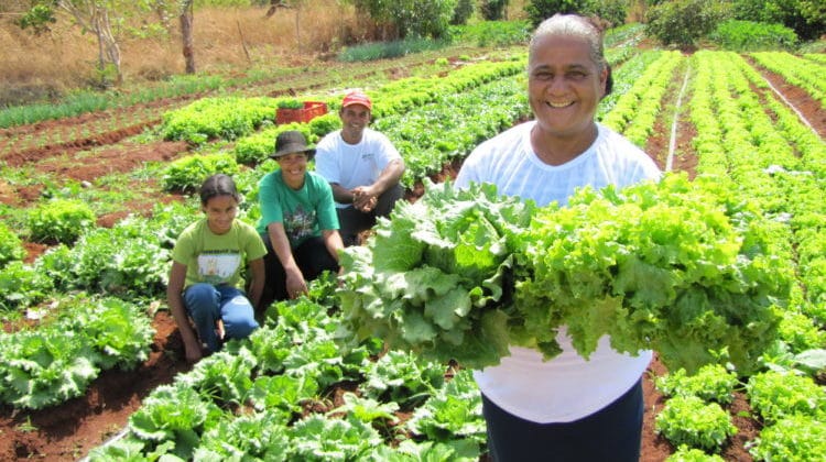CMN amplia socorro a produtores afetados pelo clima