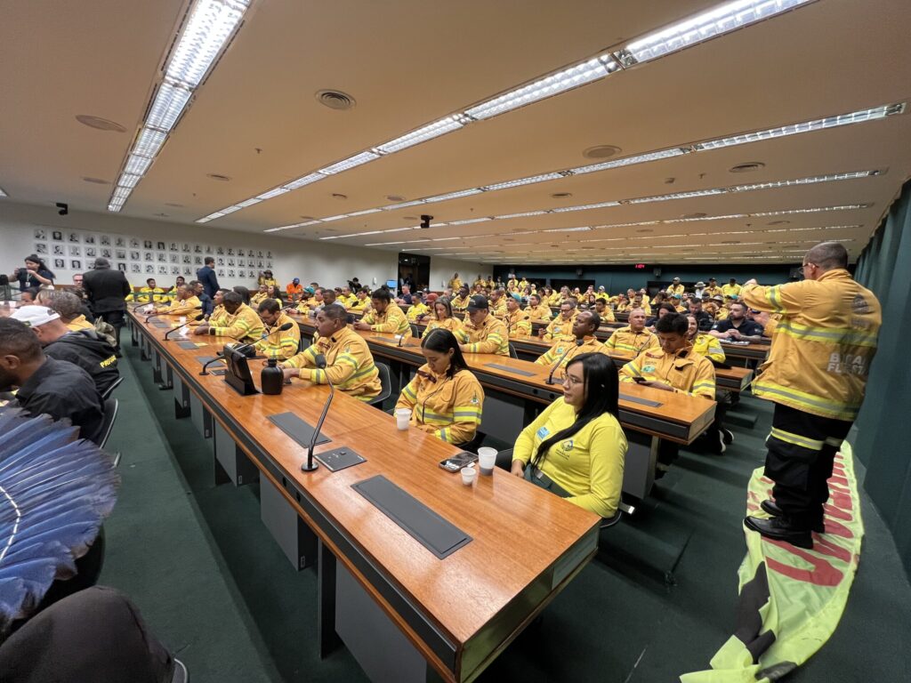 Audiência pública debate regulamentação da profissão de brigadista florestal