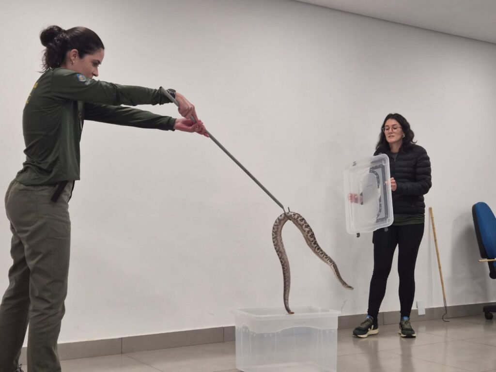 Fiscais do Brasília Ambiental participam de capacitação para o manejo de animais silvestres