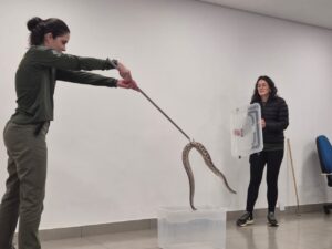 Fiscais do Brasília Ambiental participam de capacitação para o manejo de animais silvestres