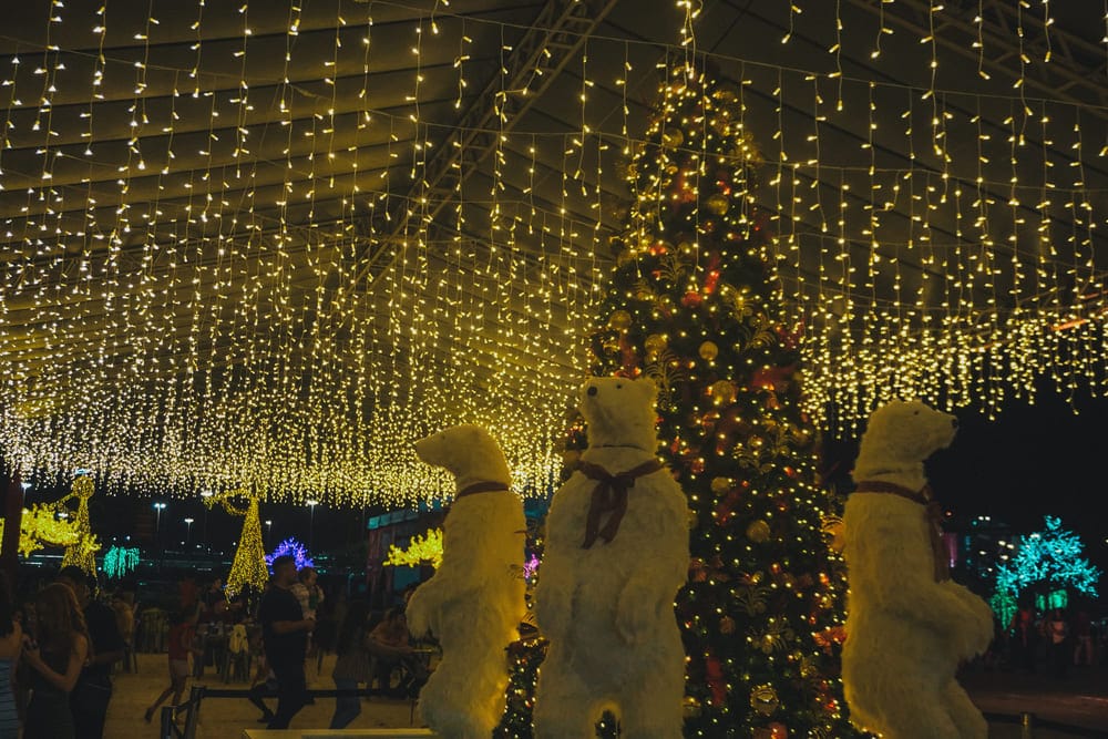 Nosso Natal 2025: evento atrai 900 mil visitantes