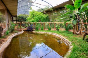 Zoológico de Brasília celebra 68 anos com programação especial e entrada gratuita