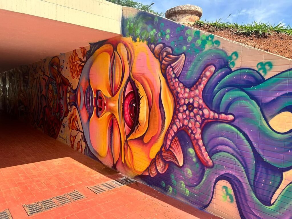 Painel coletivo de grafiteiros do DF dá cara nova à passagem subterrânea da 103/104 Norte