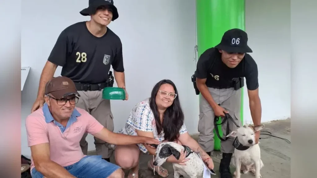 Feira do BPCães e UFG promovem adoção de 18 cães em Goiânia