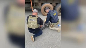 Motorista é preso com maconha na BR-262; destino Goiás e Minas