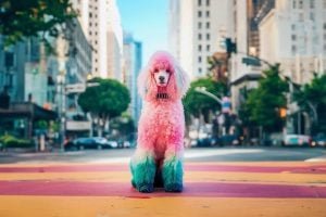 Google Testa Anúncios em Modo IA: Impactos e Mudanças no Cenário Digital