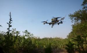 Drones misteriosos: autoridades europeias investigam avistamentos em diversos países