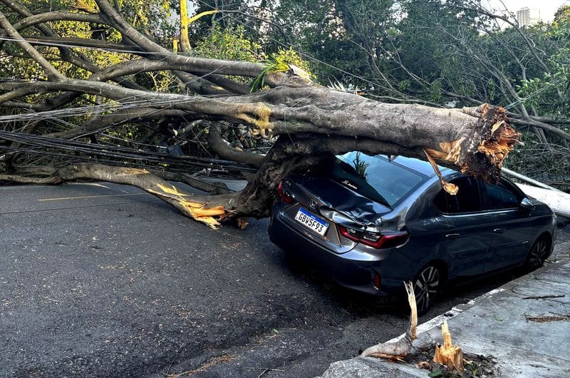 Enel SP: Restauração da energia após ciclone é mais lenta que em 2023 e 2024