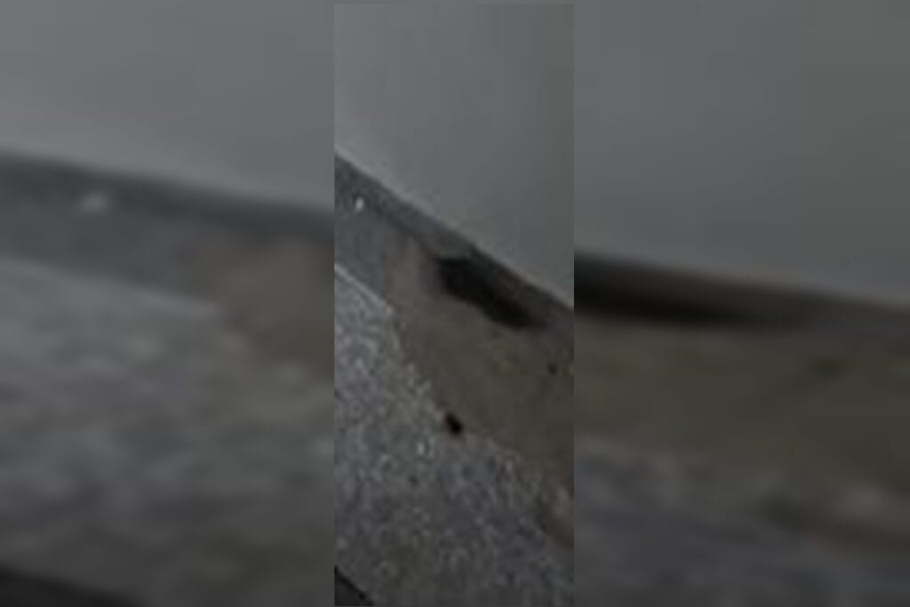 Ratos são flagrados em centro cirúrgico do Hospital Universitário de Brasília