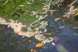 Relatório da CPI do Melquior pede reenquadramento do rio