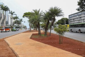 GDF reforma Setor Comercial Sul