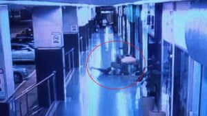 Briga após final da Libertadores: torcedores do Palmeiras agridem flamenguista no Sudoeste