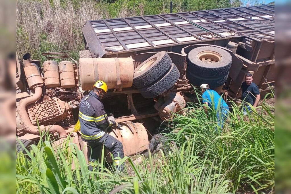 Caminhão com bois tomba em GO e motorista fica preso