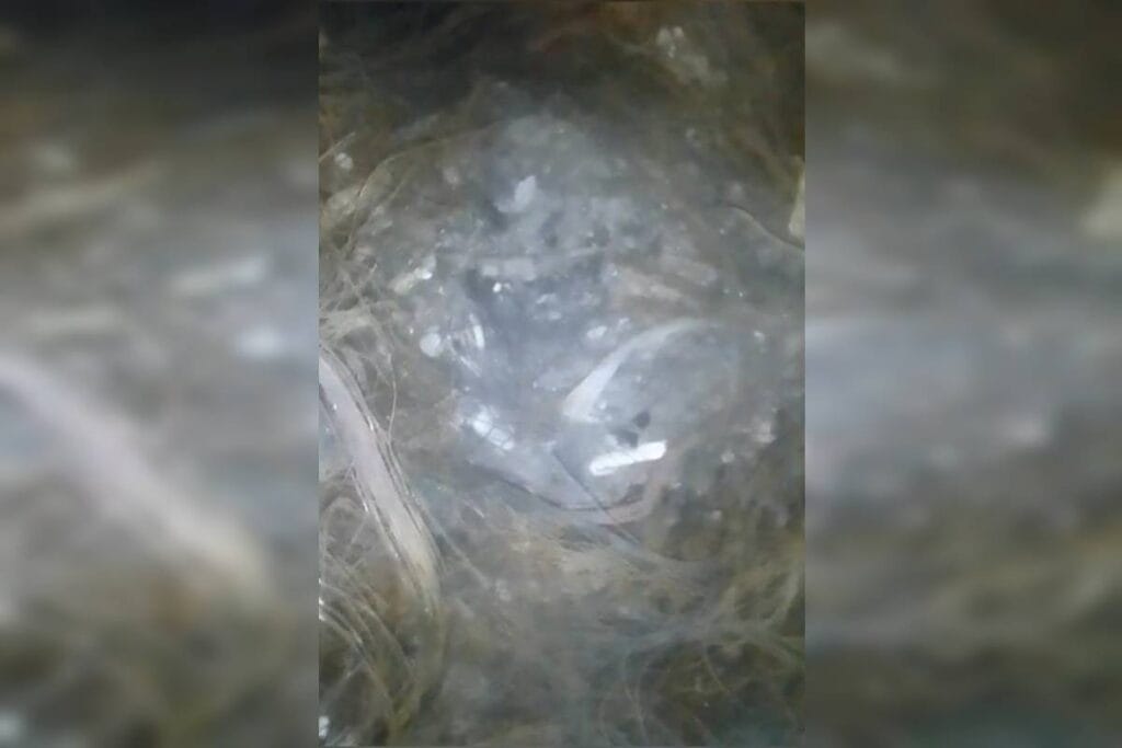 Polícia encontra evidências de ritual satânico em galpão usado por advogado