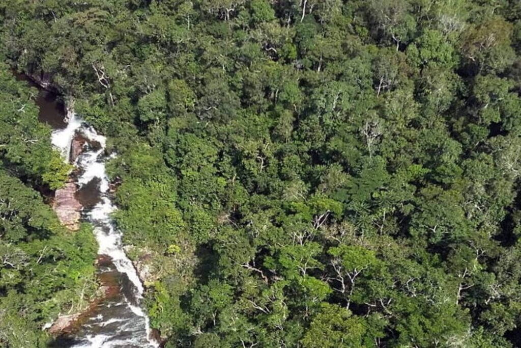 RO lidera recebimento de máquinas pesadas na Amazônia com verbas de emendas