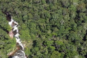 RO lidera recebimento de máquinas pesadas na Amazônia com verbas de emendas