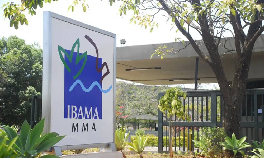Ibama apura mortes de elefantes em santuário em Mato Grosso