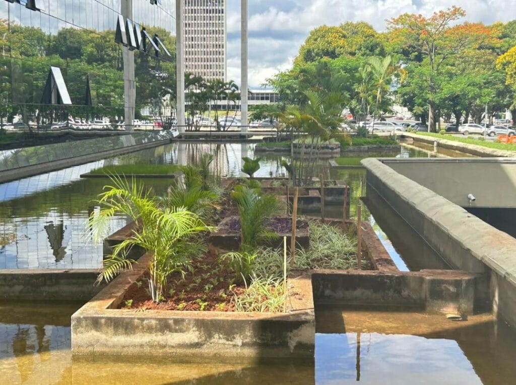 Novacap conclui projeto paisagístico no TJDFT