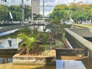 Novacap conclui projeto paisagístico no TJDFT