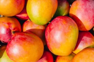 Bêbado sobe em árvore para pegar manga e cai de 4 metros.