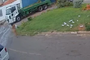 Mulher fica pelada no meio da rua após destruir jardim de praça no DF