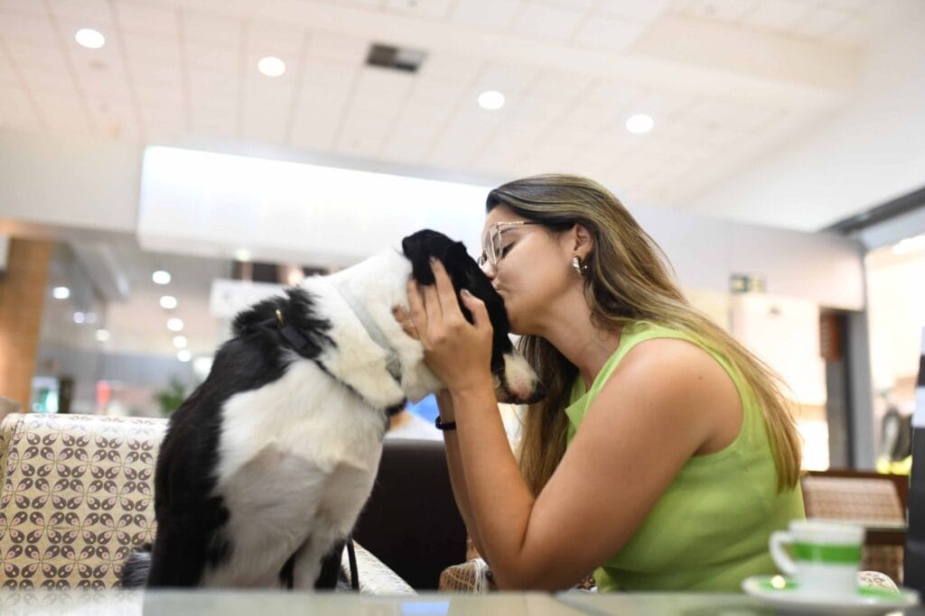 Alesp aprova e Tarcísio vai avaliar sepultamento de pets junto aos tutores