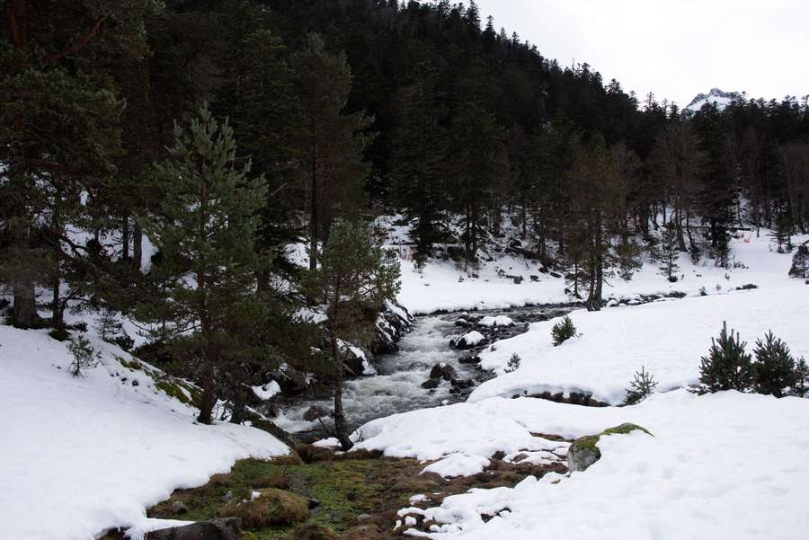 Nova avalanche deixa um morto nos Pirineus espanhóis