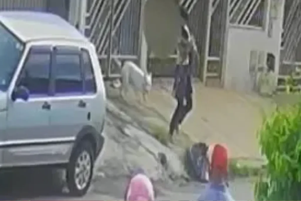 Pitbull escapa de casa e ataca criança de 2 anos no Jardim Guanabara, em Goiânia