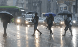 Temporal alaga ruas, derruba árvores e causa desabamentos em SP