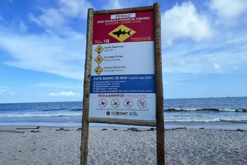 Adolescente morre em Olinda (PE) após mordida de tubarão