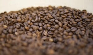 Café: safra do Brasil e do Vietnã alivia aperto na oferta mas não deve derrubar preço