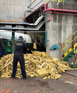 Polícia Federal incinera mais de 8 toneladas de maconha em Três Lagoas