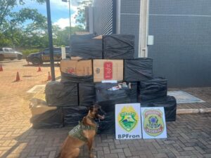 PF e BPFRON apreende 900 pacotes de cigarros contrabandeados no interior do Paraná