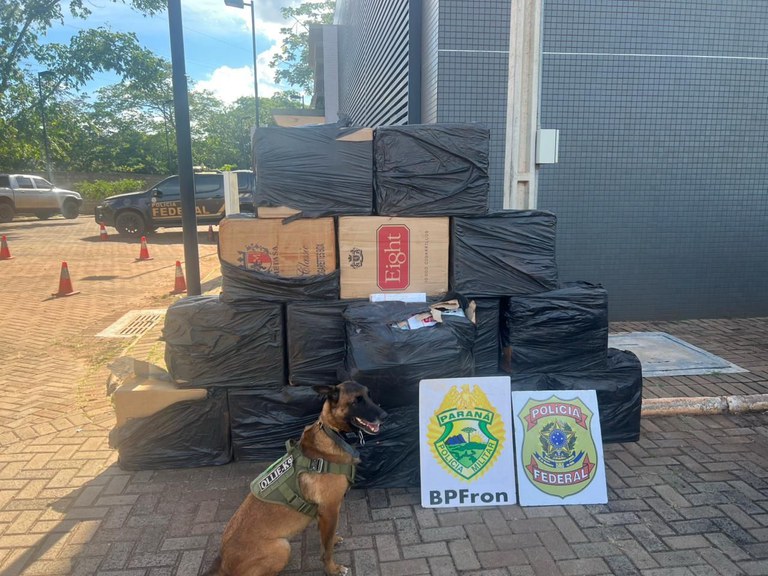 PF e BPFRON apreende 900 pacotes de cigarros contrabandeados no interior do Paraná
