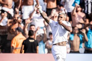 Gabigol Santos x Novorizontino